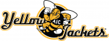 AIC Yellow Jackets 2009-Pres Alternate Logo 03 decal sticker