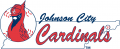 Johnson City Cardinals 1975-1994 Primary Logo Sticker Heat Transfer