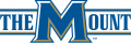 Mount St. Marys Mountaineers 2004-Pres Alternate Logo 03 Sticker Heat Transfer