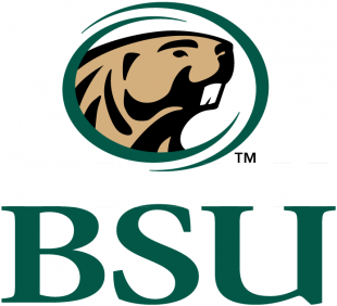 Bemidji State Beavers 2004-Pres Secondary Logo decal sticker