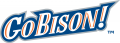 Bucknell Bison 2002-Pres Wordmark Logo 02 decal sticker