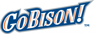 Bucknell Bison 2002-Pres Wordmark Logo 02 Sticker Heat Transfer