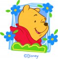 Disney Pooh Logo 24 Sticker Heat Transfer