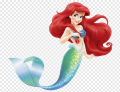 Ariel Logo 10 decal sticker