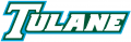 Tulane Green Wave 1998-2013 Wordmark Logo 02 decal sticker