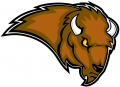 Lipscomb Bisons 2002-2011 Secondary Logo decal sticker