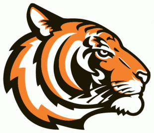 Princeton Tigers 2003-Pres Alternate Logo Sticker Heat Transfer