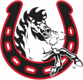Calgary Stampeders 2003-Pres Alternate Logo Sticker Heat Transfer