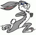 South Dakota State Jackrabbits 2008-Pres Mascot Logo decal sticker