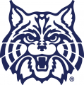 Arizona Wildcats 1990-Pres Secondary Logo decal sticker