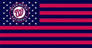 Washington Nationals Flag001 logo decal sticker