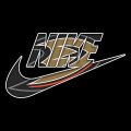 Anaheim Ducks Nike logo Sticker Heat Transfer