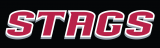 Fairfield Stags 2002-Pres Wordmark Logo 09 decal sticker