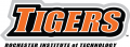 RIT Tigers 2004-Pres Wordmark Logo Sticker Heat Transfer