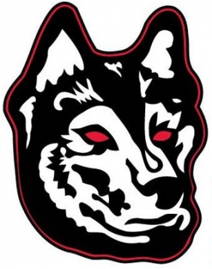 Northeastern Huskies 2007-Pres Alternate Logo 02 Sticker Heat Transfer