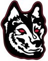 Northeastern Huskies 2007-Pres Alternate Logo 02 decal sticker