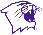 Northwestern Wildcats 1981-Pres Partial Logo 01 Sticker Heat Transfer