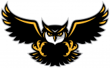 Kennesaw State Owls 2012-Pres Alternate Logo 01 decal sticker