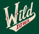 Iowa Wild 2013-Pres Alternate Logo 2 decal sticker