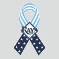 Tampa Bay Rays Ribbon American Flag logo Sticker Heat Transfer