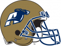 Akron Zips 2002-Pres Helmet Logo decal sticker