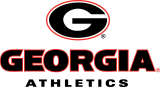 Georgia Bulldogs 2013-Pres Alternate Logo decal sticker
