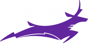 Grand Canyon Antelopes 2015-Pres Secondary Logo 03 decal sticker