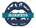 Charlotte Hornets Lips Logo Sticker Heat Transfer