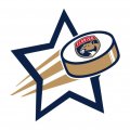 Florida Panthers Hockey Goal Star logo decal sticker