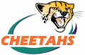 Central Cheetahs 2005-Pres Primary Logo Sticker Heat Transfer