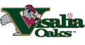 Visalia Rawhide 1995-2008 Primary Logo decal sticker