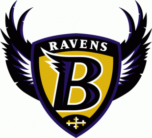 Baltimore Ravens 1996-1998 Primary Logo Sticker Heat Transfer