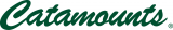 Vermont Catamounts 1998-Pres Wordmark Logo 01 decal sticker
