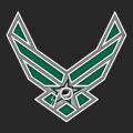 Airforce Dallas Stars logo decal sticker