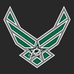 Airforce Dallas Stars logo decal sticker