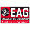 Guingamp 2000-Pres Primary Logo decal sticker