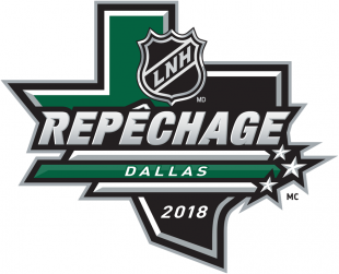 NHL Draft 2017-2018 Alt. Language Logo decal sticker