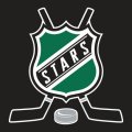 Hockey Dallas Stars Logo decal sticker