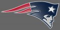 New England Patriots Plastic Effect Logo decal sticker