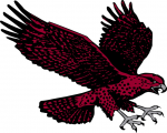 Maryland-Eastern Shore Hawks 2007-Pres Secondary Logo Sticker Heat Transfer