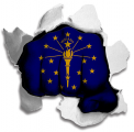 Fist Indiana State Flag Logo decal sticker