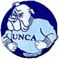 North CarolinaAsheville Bulldogs 1989-1997 Primary Logo Sticker Heat Transfer
