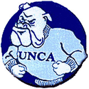 North CarolinaAsheville Bulldogs 1989-1997 Primary Logo decal sticker