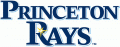 Princeton Rays 2009-Pres Primary Logo decal sticker