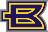 Birmingham Thunderbolts 2001 Alternate Logo 2 decal sticker