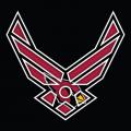 Airforce Arizona Cardinals Logo Sticker Heat Transfer