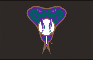 Arizona Diamondbacks 1999-2006 Batting Practice Logo Sticker Heat Transfer