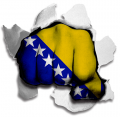 Fist Bosnia And Herzegovina Flag Logo Sticker Heat Transfer