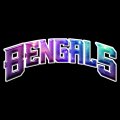 Galaxy Cincinnati Bengals Logo Sticker Heat Transfer