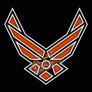 Airforce Baltimore Orioles Logo decal sticker